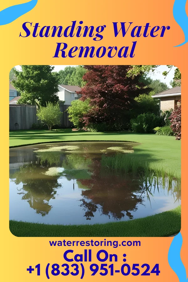 Standing Water Removal in Matlacha Isles-Matlacha Shores, FL
